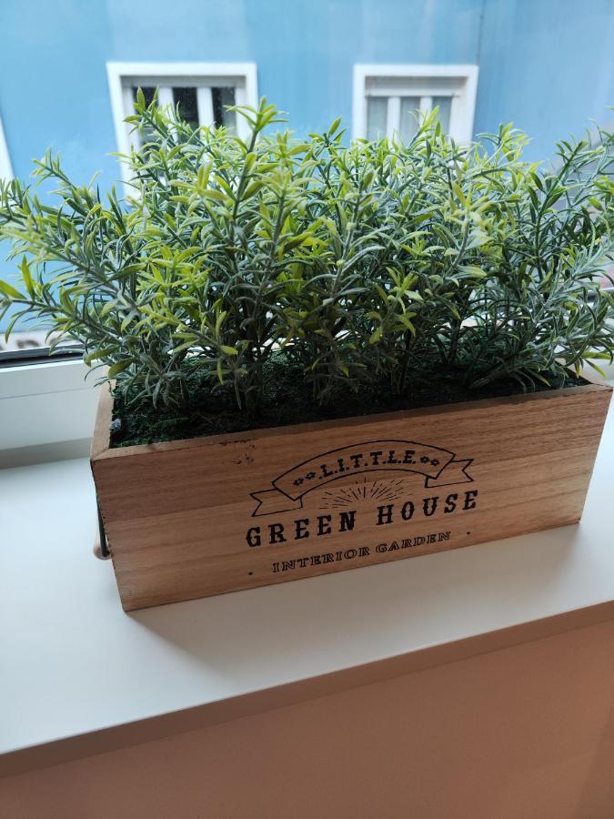 אבאירו Casa Moliceiro Verde מראה חיצוני תמונה